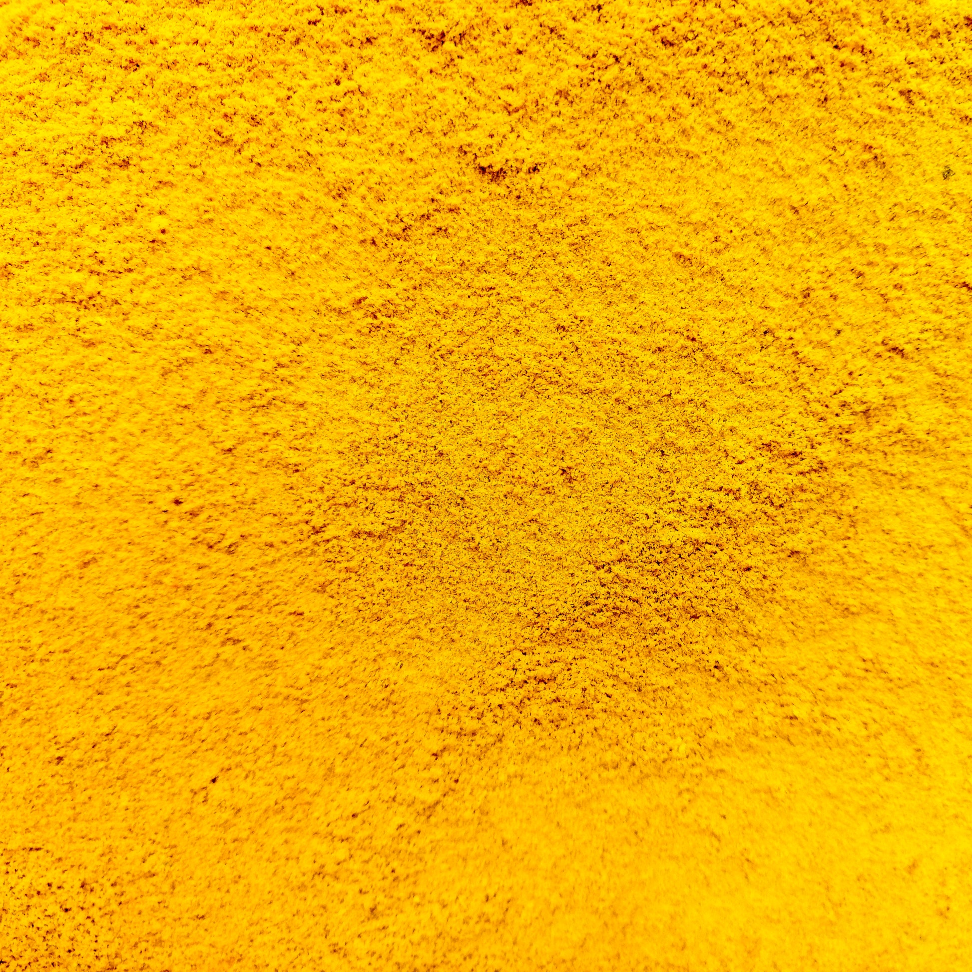 Organic Haldi Powder - Pure and Authentic from GIR FARMER