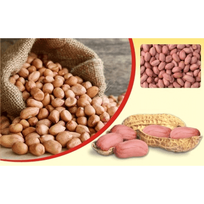 GIR Farmer Organic Moongfali Dana (Raw Peanuts) - Pure, Pesticide-FreeTHE GIR FARMER